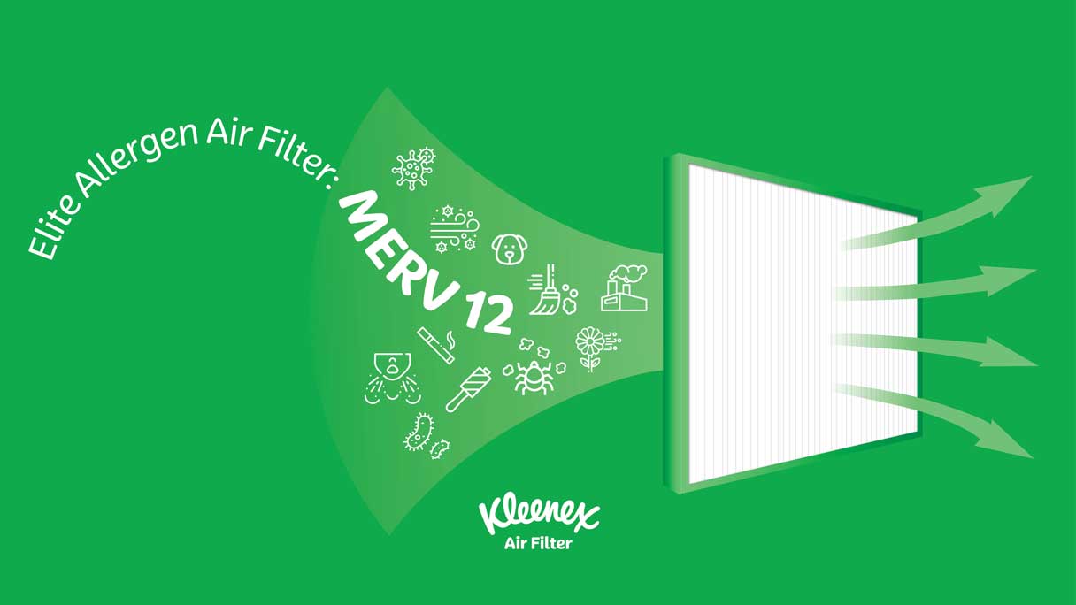 Elite Allergen Air Filter: MERV 12