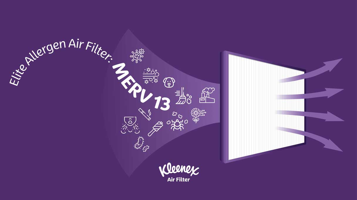 Elite Allergen Air Filter: MERV 13