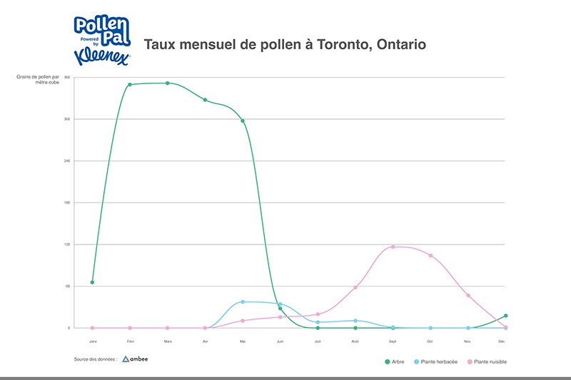 Pollen Count by Month Toronto