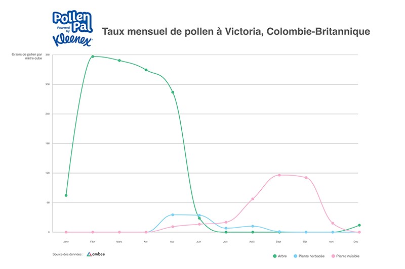 Pollen Count by Month Victoria