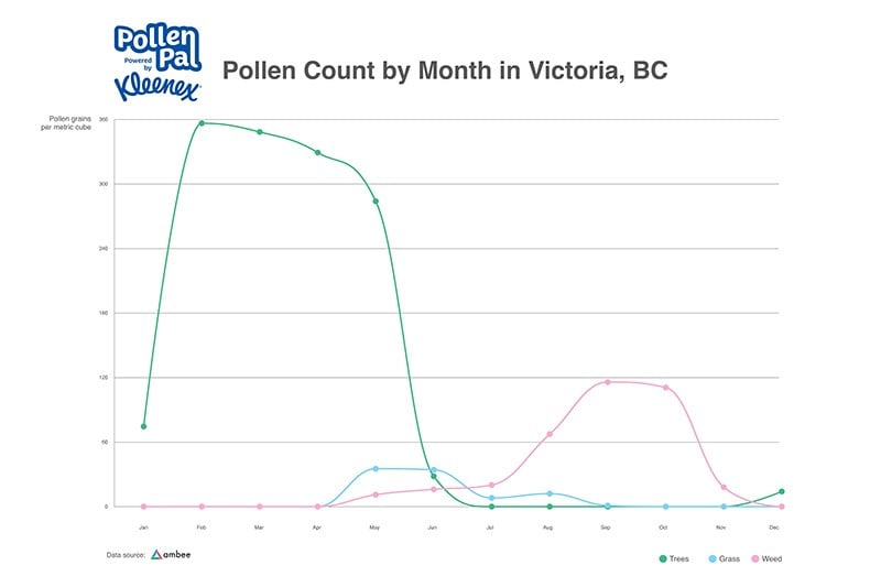 Pollen Count by Month Victoria